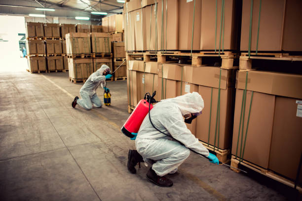 Best Emergency Pest Control  in Walden, NY