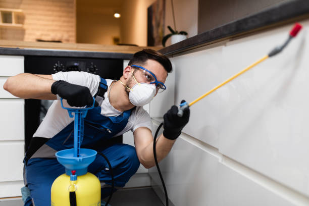 Best Local Pest Control Services  in Walden, NY