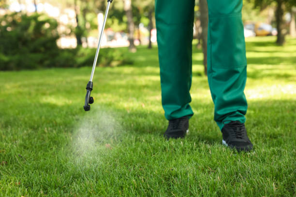 Best Mosquito Control Services  in Walden, NY