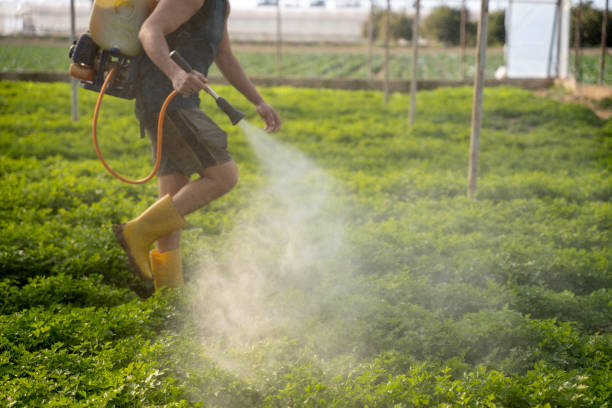 Reliable Walden, NY Pest Control Solutions