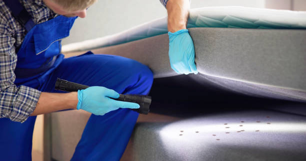 Best Pest Control Near Me  in Walden, NY