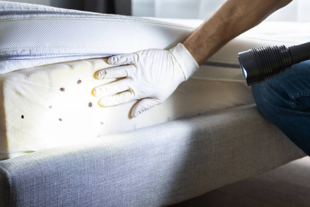 Best Bed Bug Extermination  in Walden, NY
