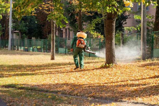 Best Mosquito Control Services  in Walden, NY
