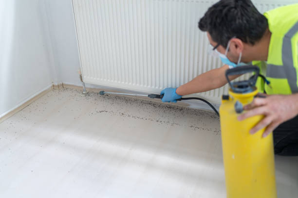 Best Affordable Exterminators  in Walden, NY
